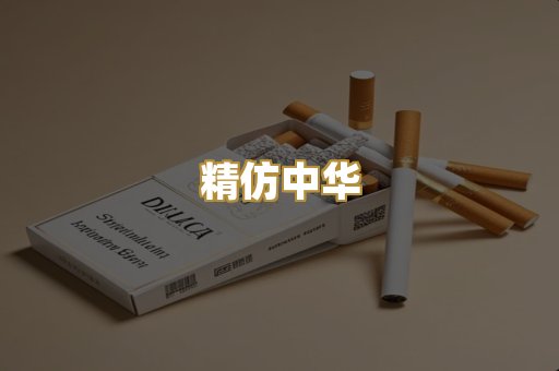 精仿中华